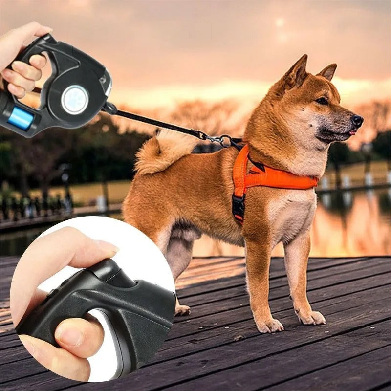 Amélie Lumière - Retractable LED Dog Leash for Night Walks
