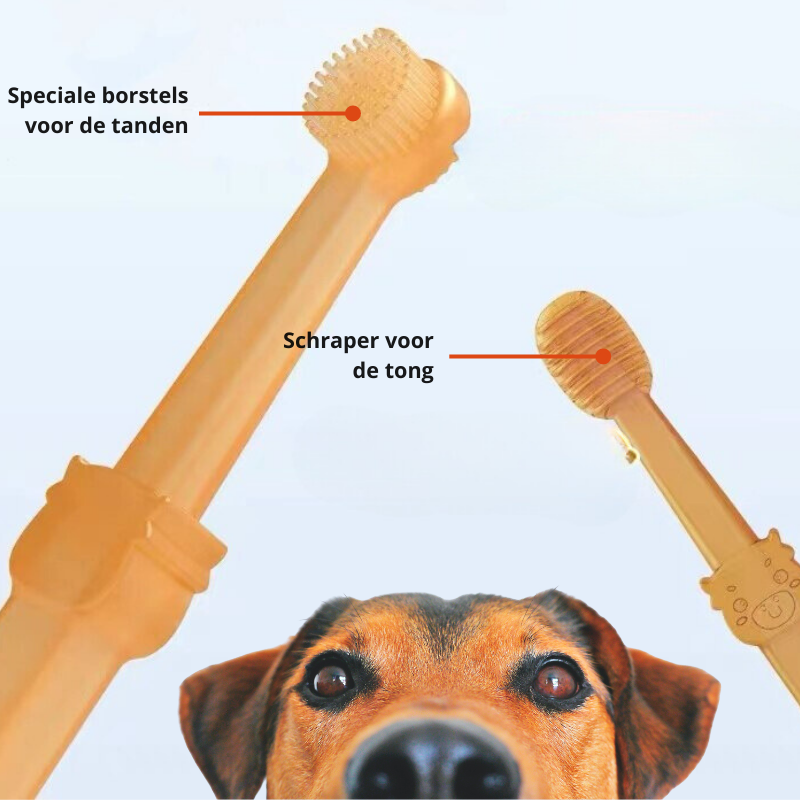 DoggyDent - Professional Dog Toothbrush for Healthy Teeth