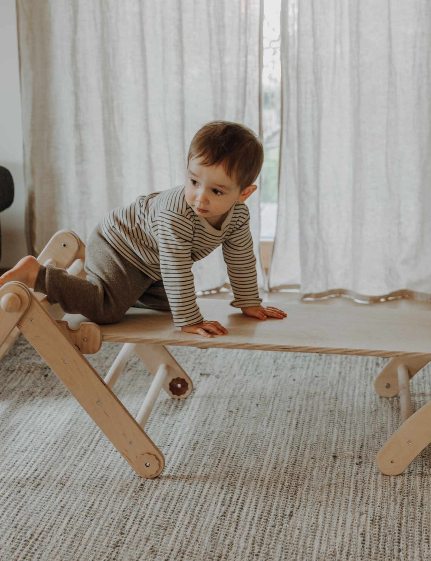PlayClimb Ladder - 2-in-1 Slide and Climbing Ladder