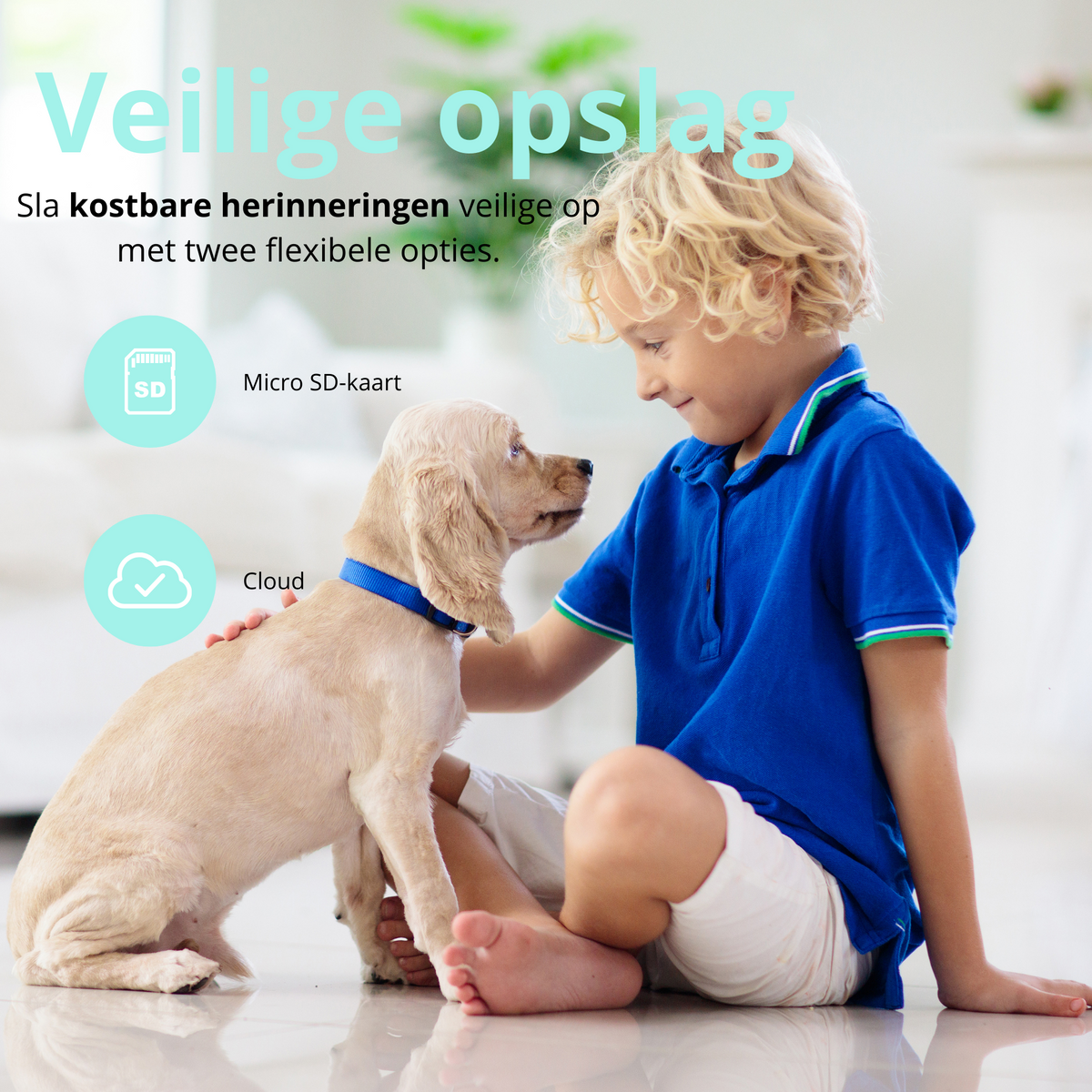 Premiumpets - Smart Camera to Watch Over Your Pet