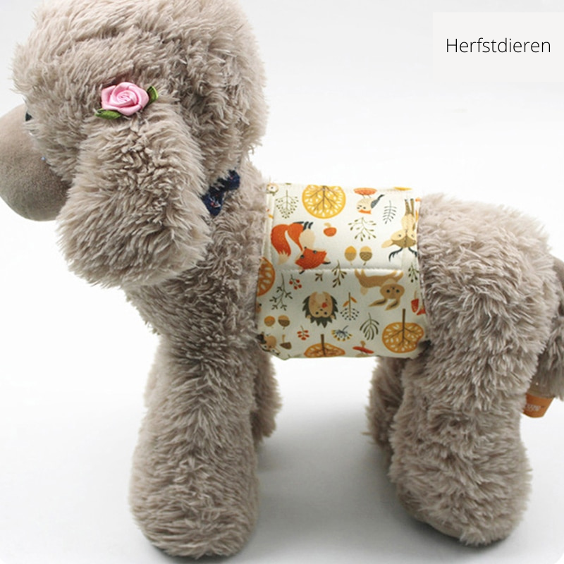 CleanPaw - Washable Dog Nappy for Total Comfort