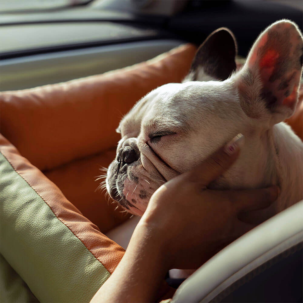 PawLuxury - Deluxe Car Seat for Dogs