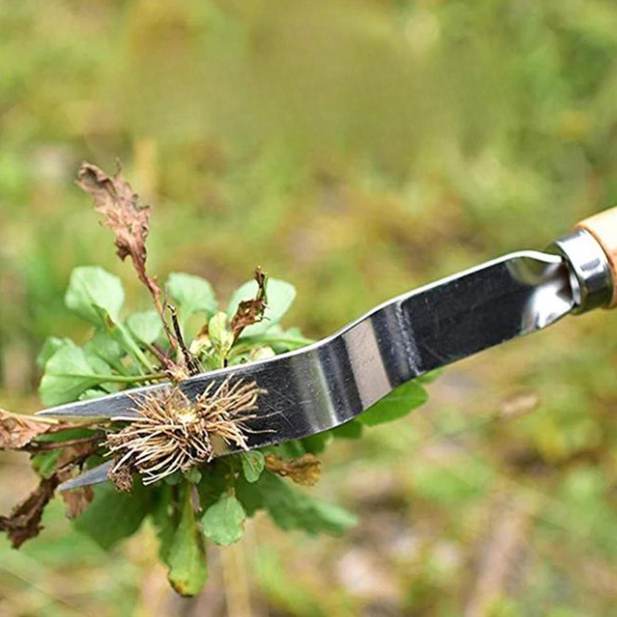 Pro Weeder - Precision Weed Removal