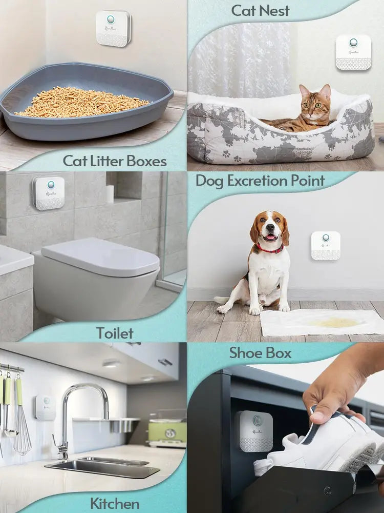 RenuAir - Cat Litter Odor Purifier for Fresh Air All Day at Home