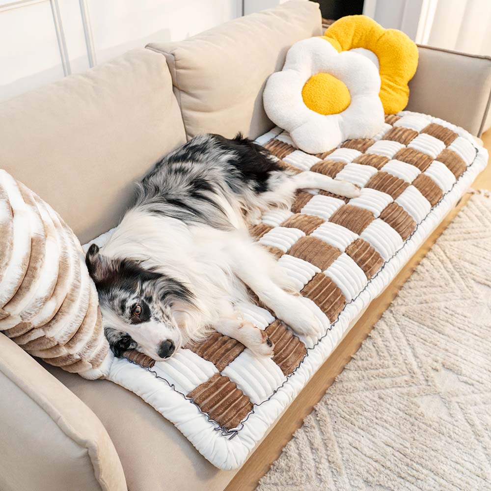 CozyCover - Soft Elegant Blanket for Pets and Owners