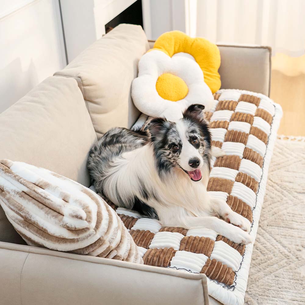 CozyCover - Soft Elegant Blanket for Pets and Owners