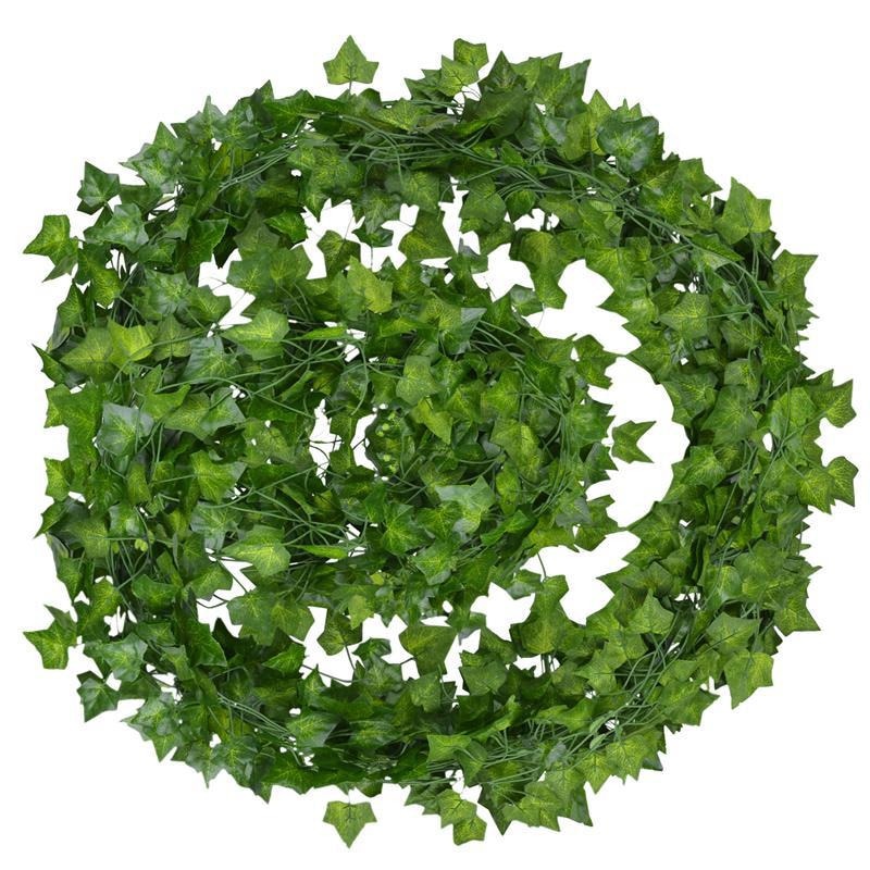 EvergreenGlow – Plantes Vertes Toujours en Saison