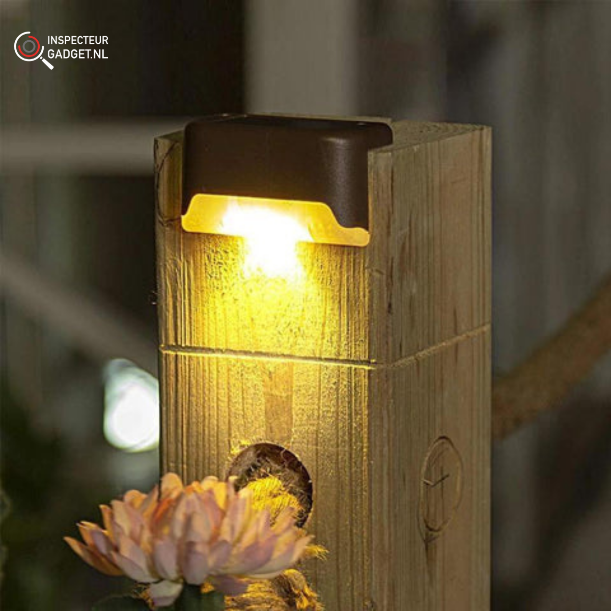 Wireless Solar LED Wall Sconces - Cable-Free Garden Lighting