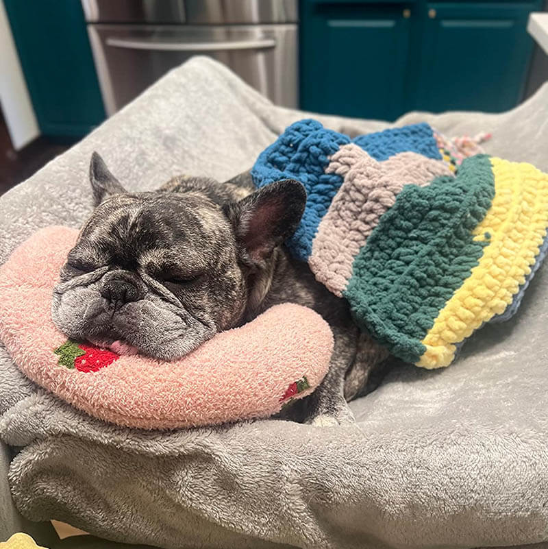 PetEase Luxe - Coussin Orthopédique pour Chien