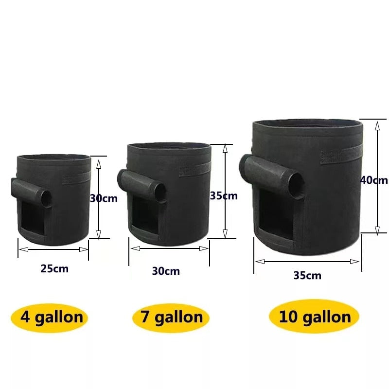 GrowMaster Pots – Pot de Culture Stylé pour Légumes
