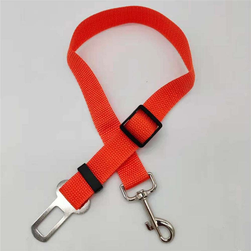SafePaw - Luxury Car Safety Leash for Dogs