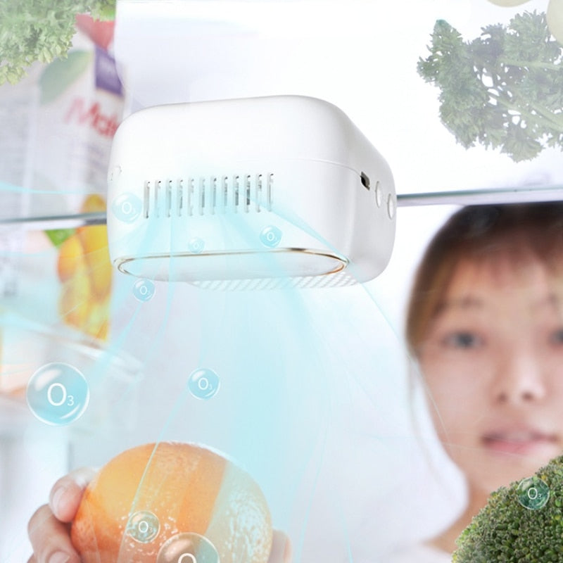 FreshBreeze - Désodorisant Réfrigérateur Anti-Odeurs