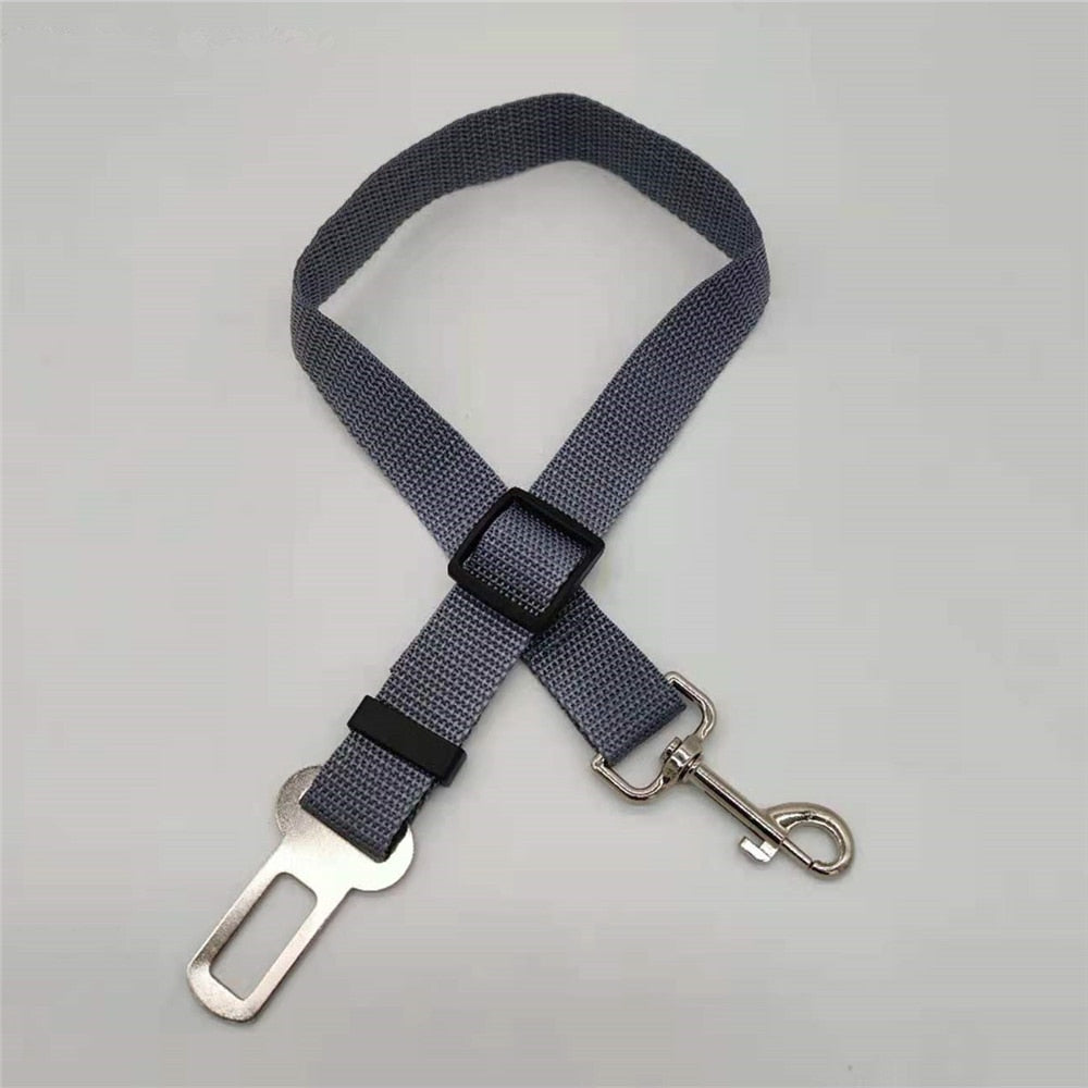 SafePaw - Luxury Car Safety Leash for Dogs