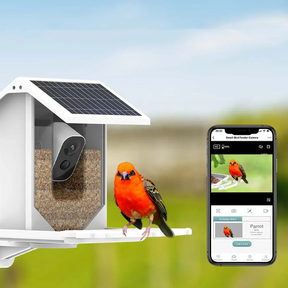 Mangeoire à Oiseaux Solaire sans Fil - Caméra HD avec Reconnaissance IA