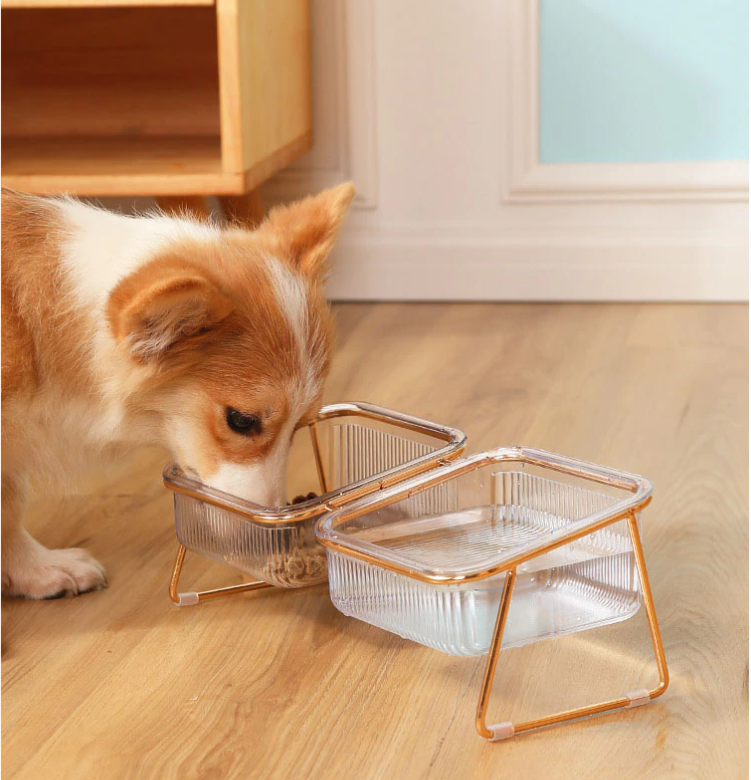 PetChic - Stylish Food Bowl for Trendy Pets