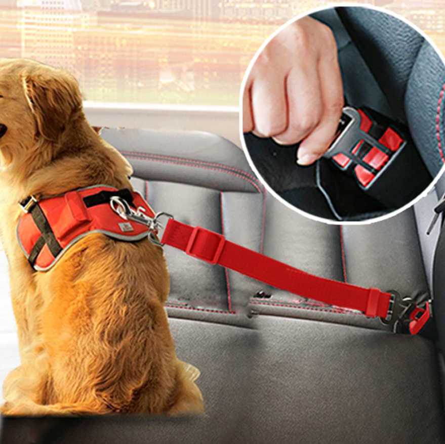 SafePaw - Luxury Car Safety Leash for Dogs