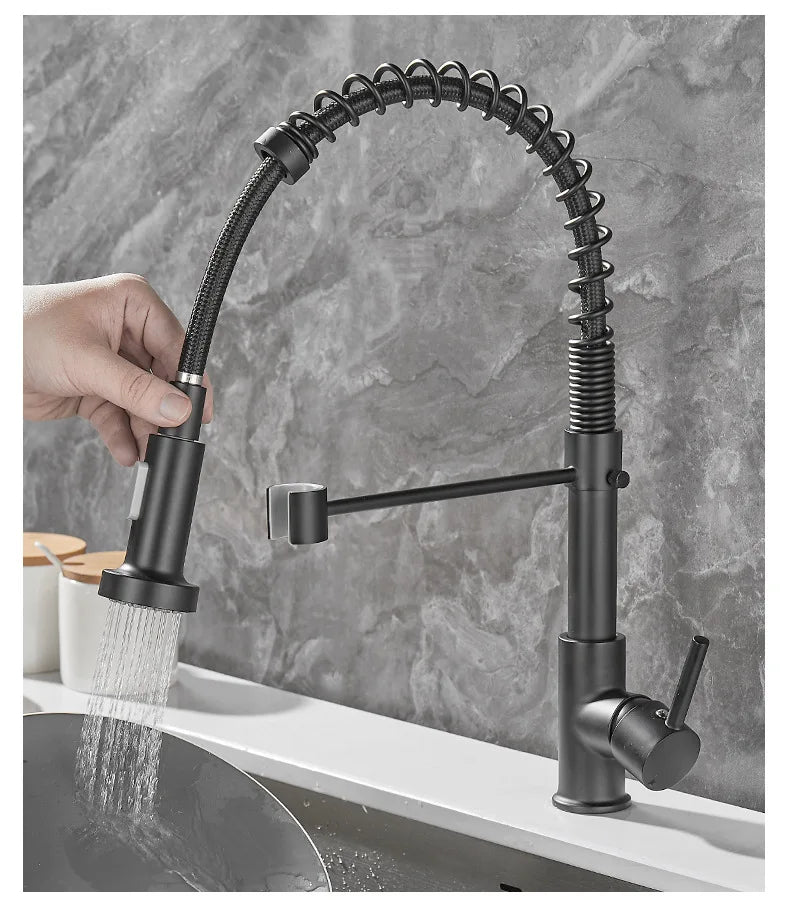 DualFlow - Black and Gold Dual-Spout Brass Kitchen Faucet