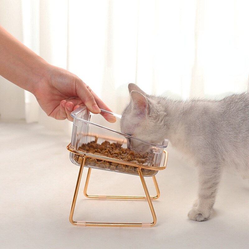 PetChic - Stylish Food Bowl for Trendy Pets