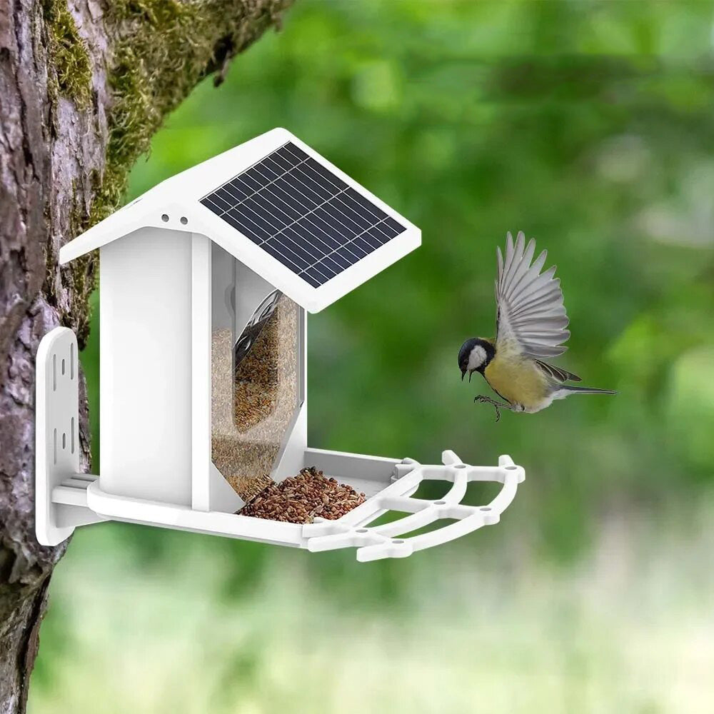 Mangeoire à Oiseaux Solaire sans Fil - Caméra HD avec Reconnaissance IA