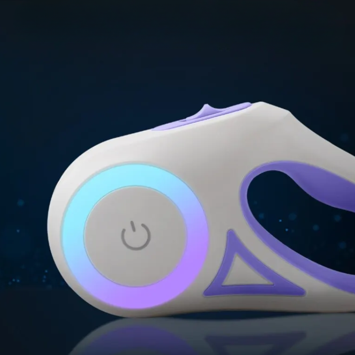 Laisse pour Chien - Enrouleur Automatique avec Lumière LED Intégrée