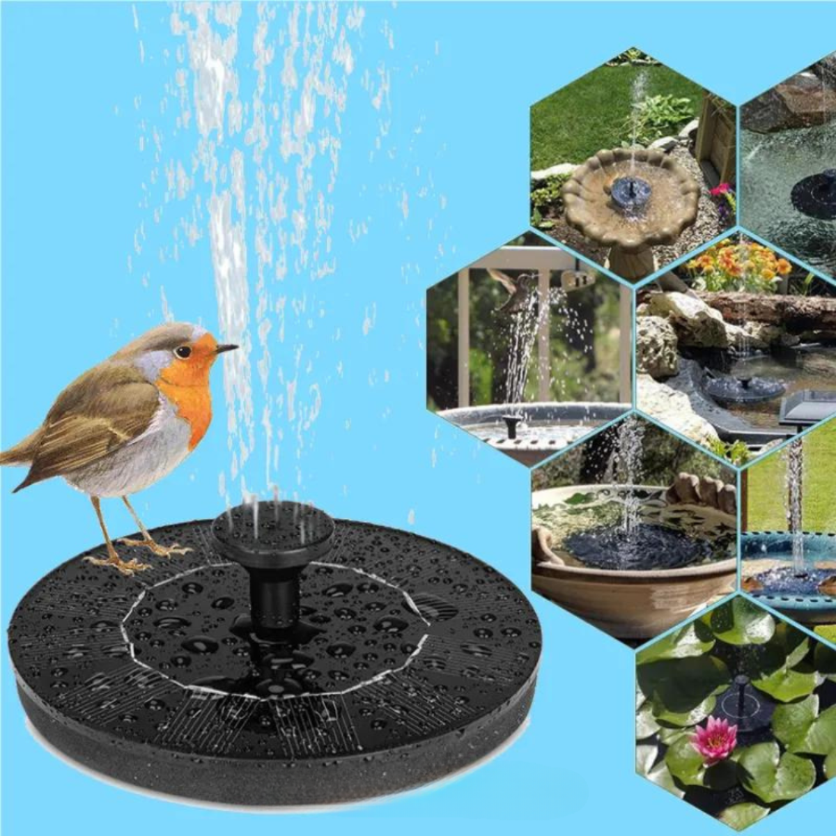 Birdbuddy - Fontaine à Oiseaux Solaire Écologique pour Jardin
