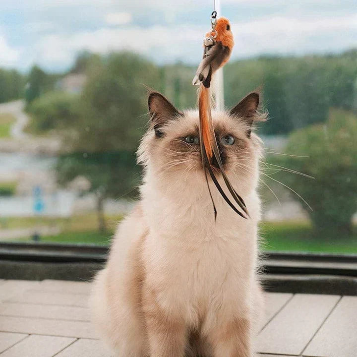 Interactive Bird - Realistic Motion Cat Toy