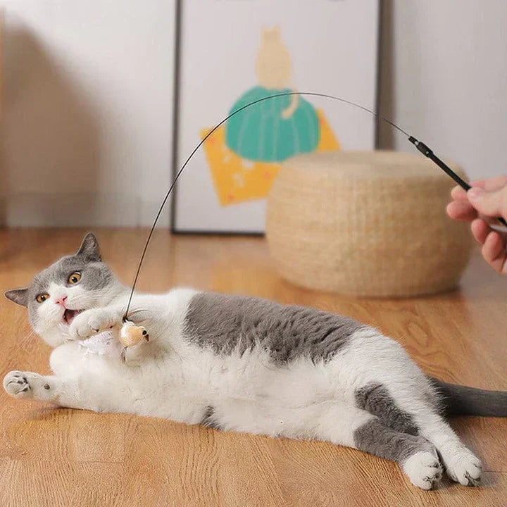 Interactive Bird - Realistic Motion Cat Toy