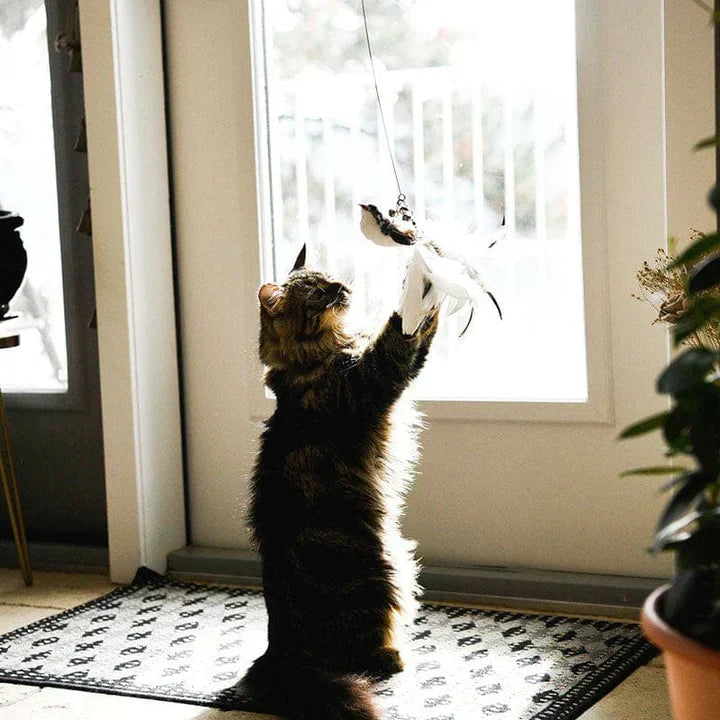 Interactive Bird - Realistic Motion Cat Toy