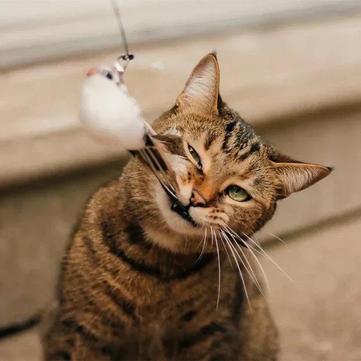 Interactive Bird - Realistic Motion Cat Toy