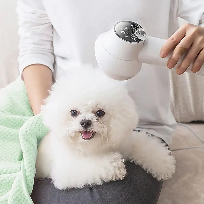 Clément Serenity - Silent Pet Hair Dryer for Dogs and Cats