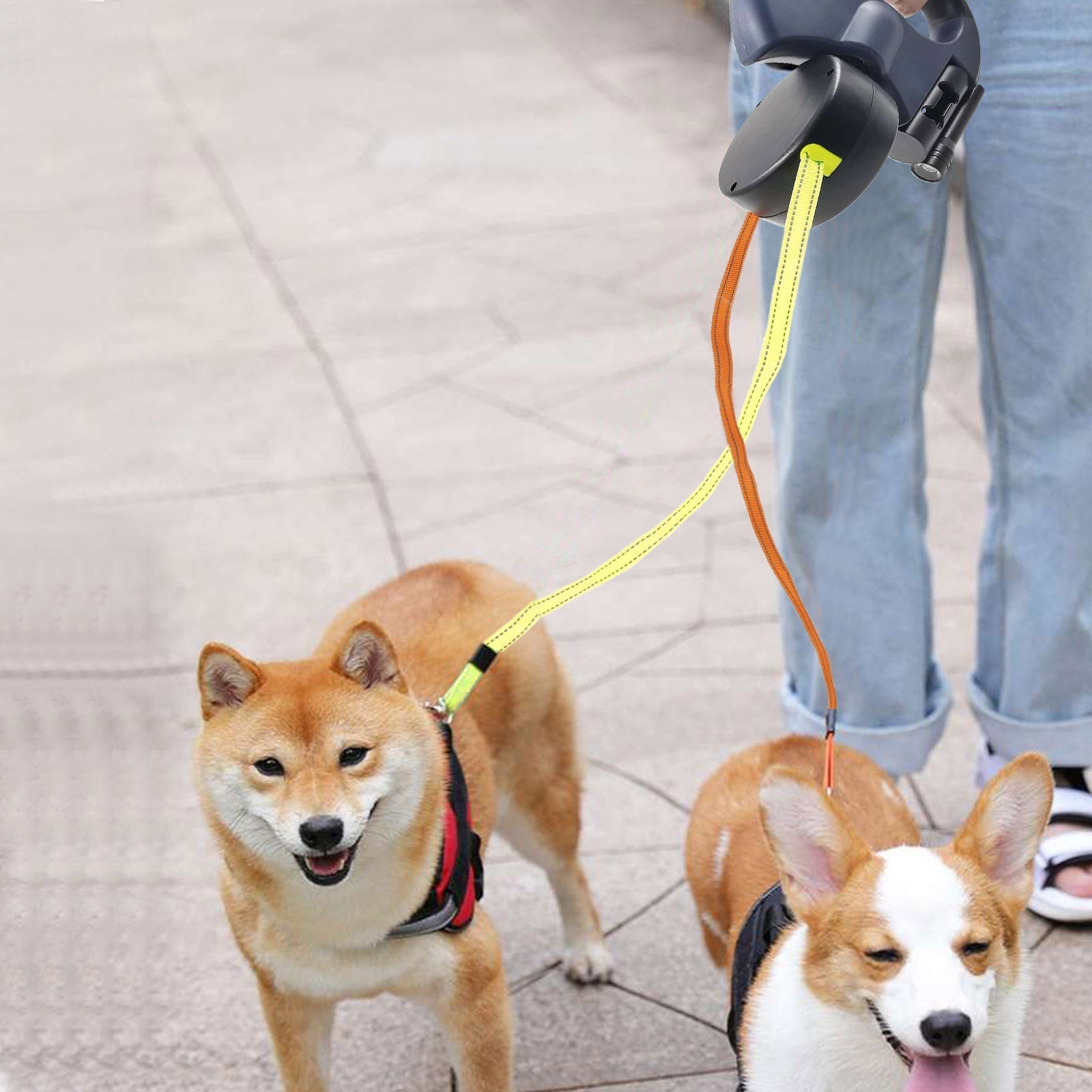 ProPet Duo Leash - Ultimate Leash Solution for Dogs
