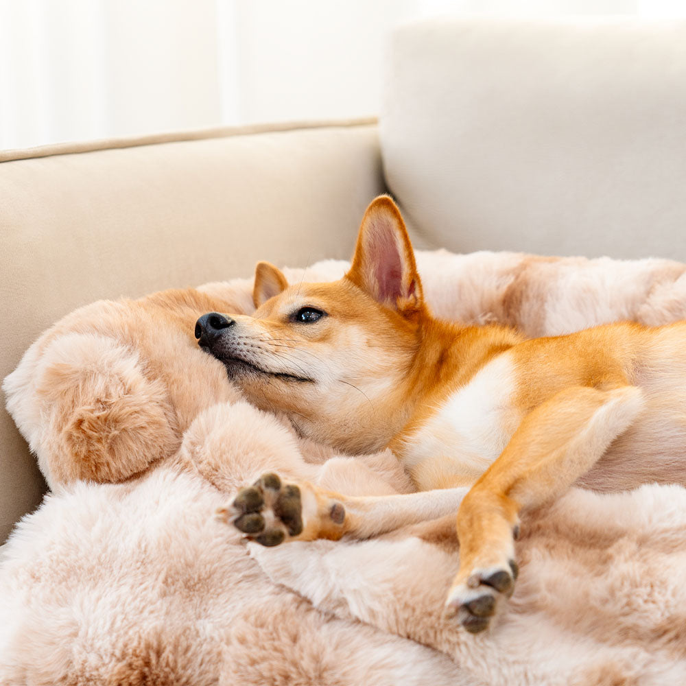 PlushNest - Plush Luxury Dog Sofa Bed