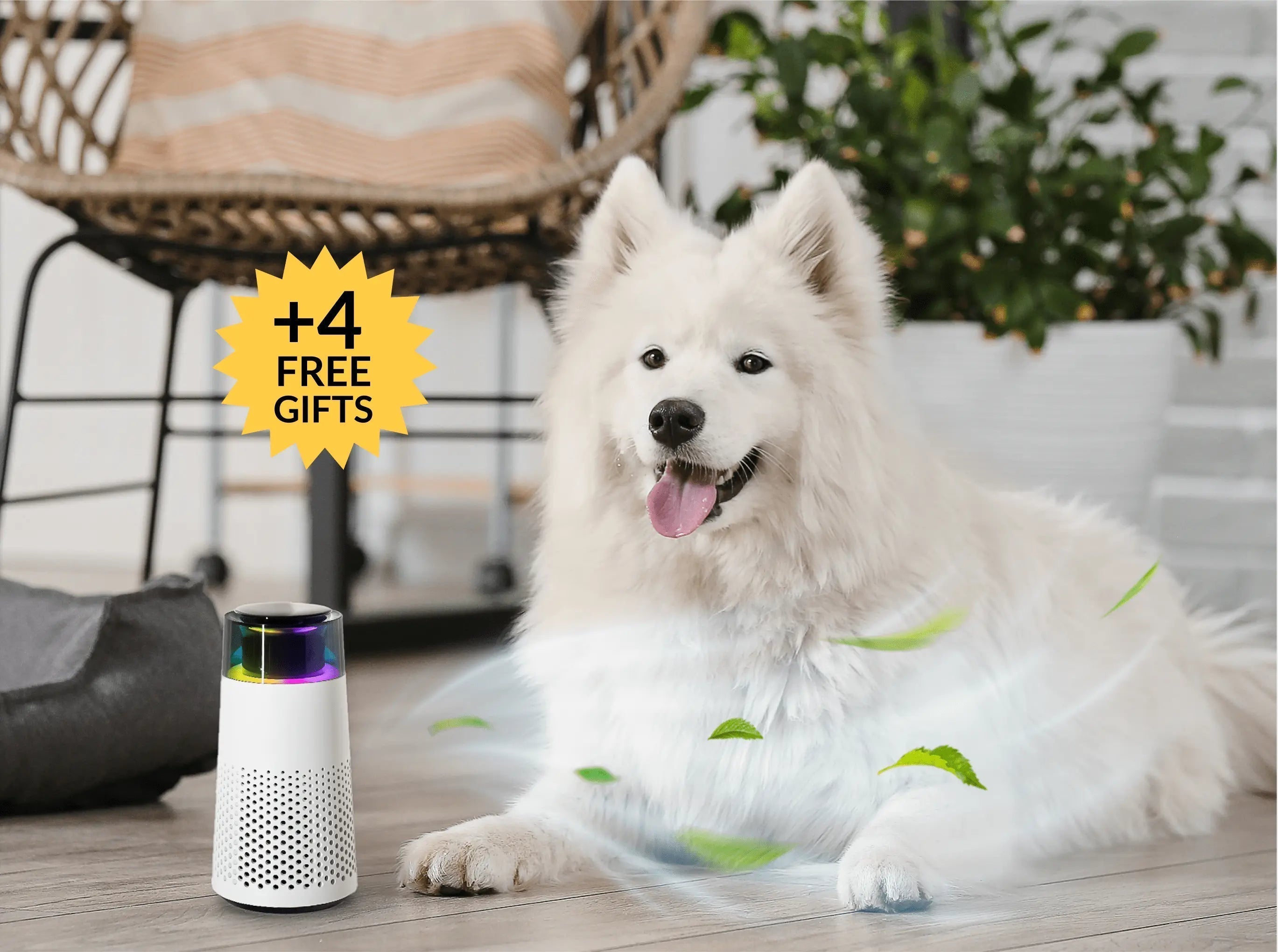 PetFresh - Diffuseur Aromatique pour Animaux
