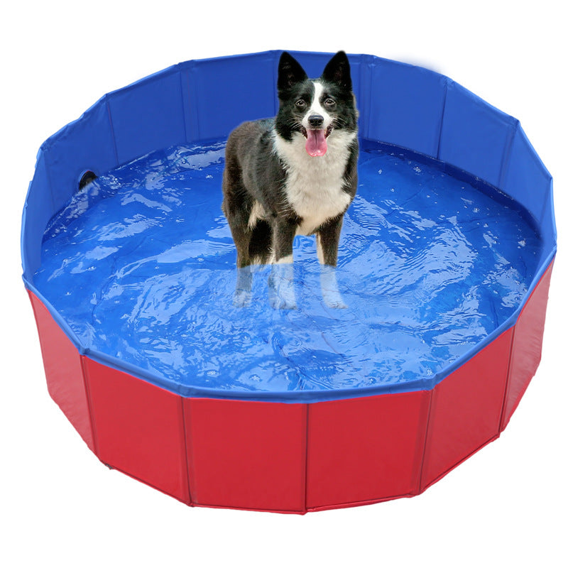 CoolPaws - Luxury Garden Pool for Dogs