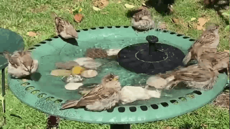 TranquilFlow - Fontaine de Jardin Solaire Apaisante
