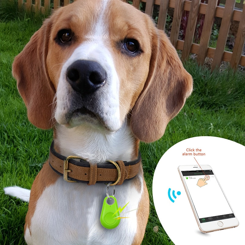 PawFinder - Smart GPS Tracker for Pets