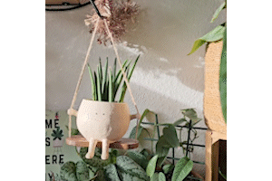 GreenOasis - Panier Suspendu Élégant pour Plantes d'Intérieur et d'Extérieur