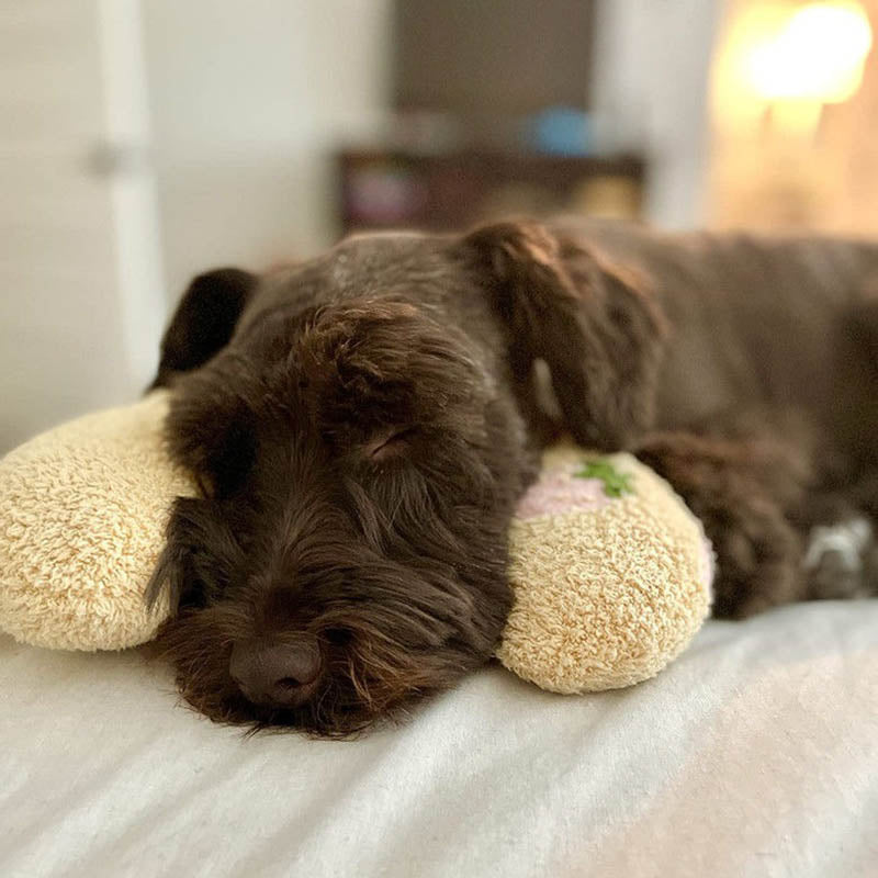 PetEase Luxe - Coussin Orthopédique pour Chien
