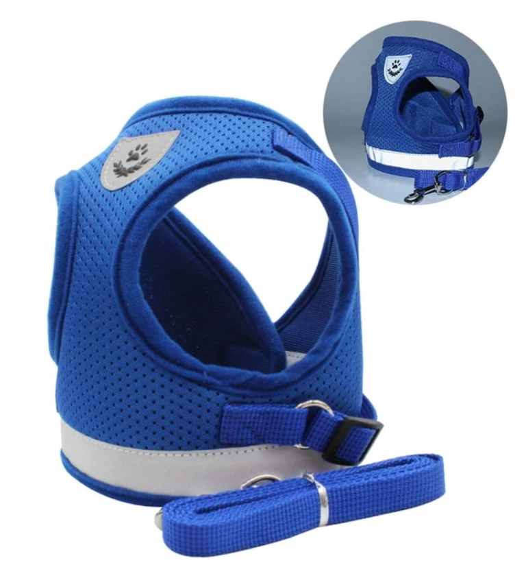 AdventureKit - Secure Harness for Adventurous Cats