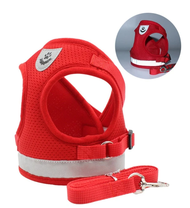 AdventureKit - Secure Harness for Adventurous Cats