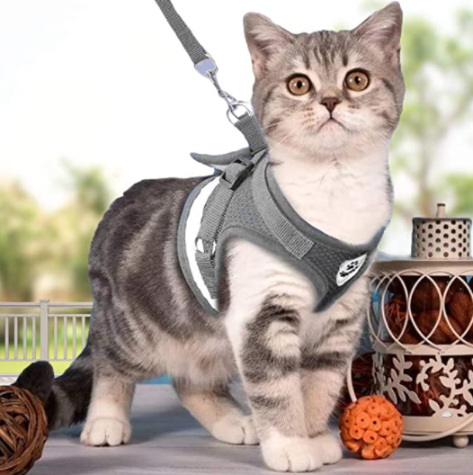 AdventureKit - Secure Harness for Adventurous Cats