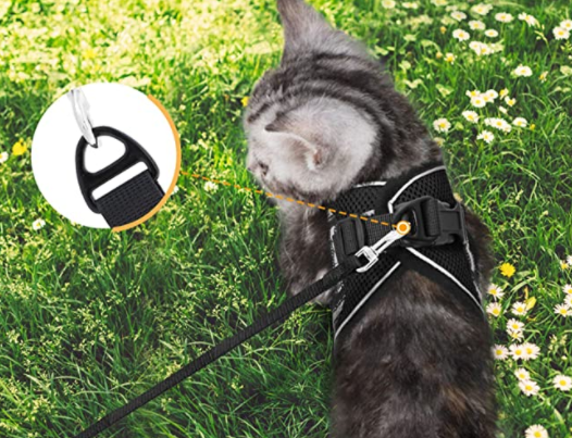 AdventureKit - Secure Harness for Adventurous Cats