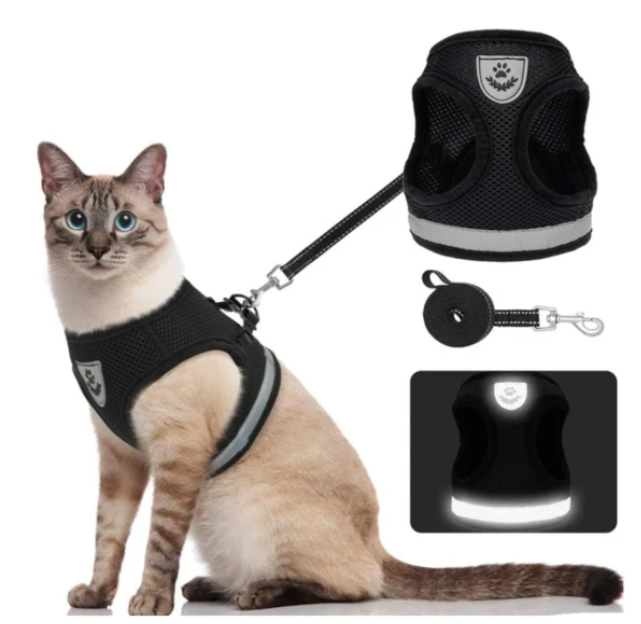 AdventureKit - Secure Harness for Adventurous Cats