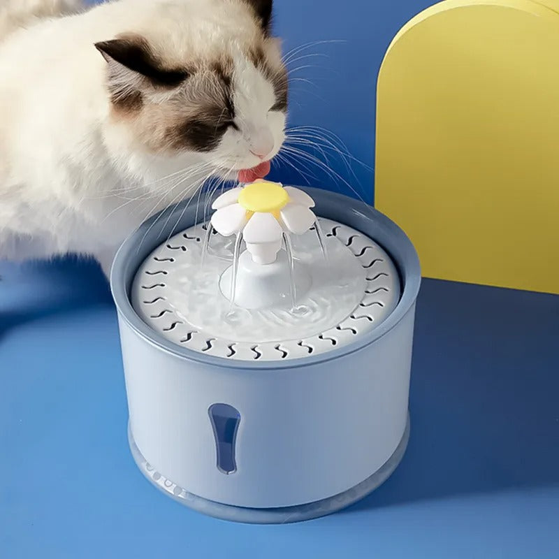 PawOasis Pet Fountain - Fontaine Eau Animaux Automatique