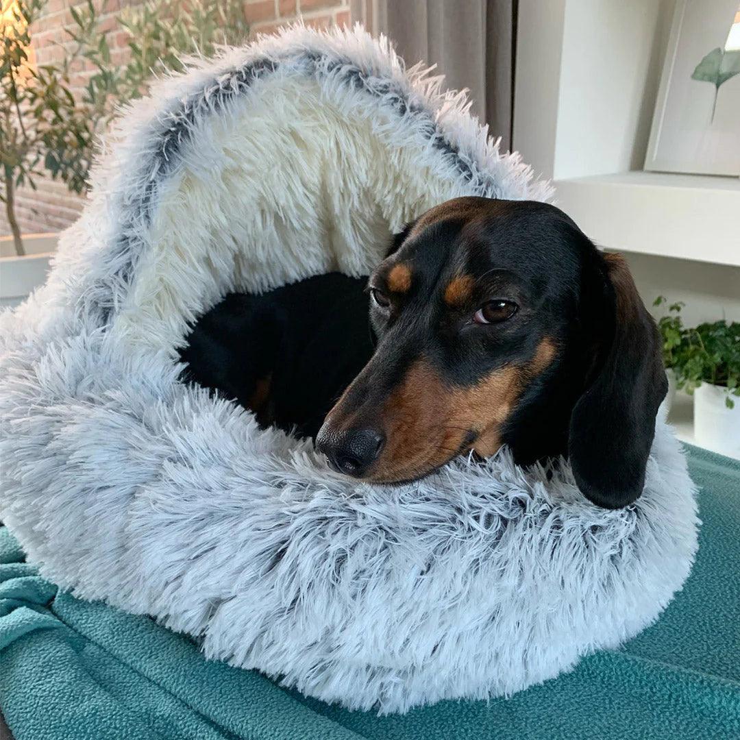 LuxePet Bed - Litière Premium Confort pour Animal