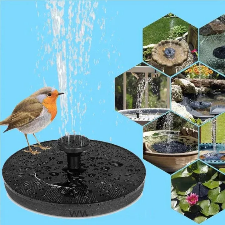 Flowbee - Fontaine solaire élégante pour les oiseaux du jardin