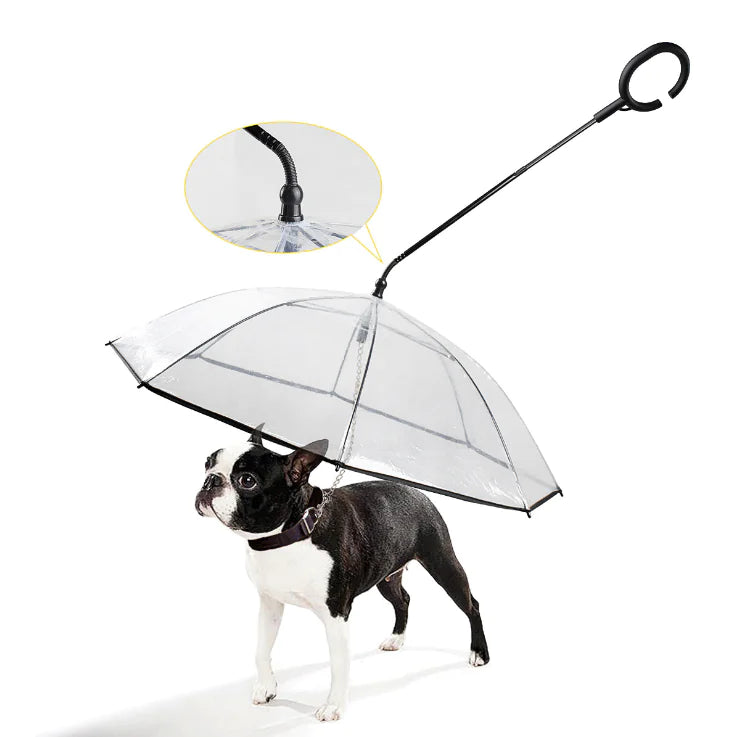 RainGuard Umbrella - Parapluie Transparent pour Chien