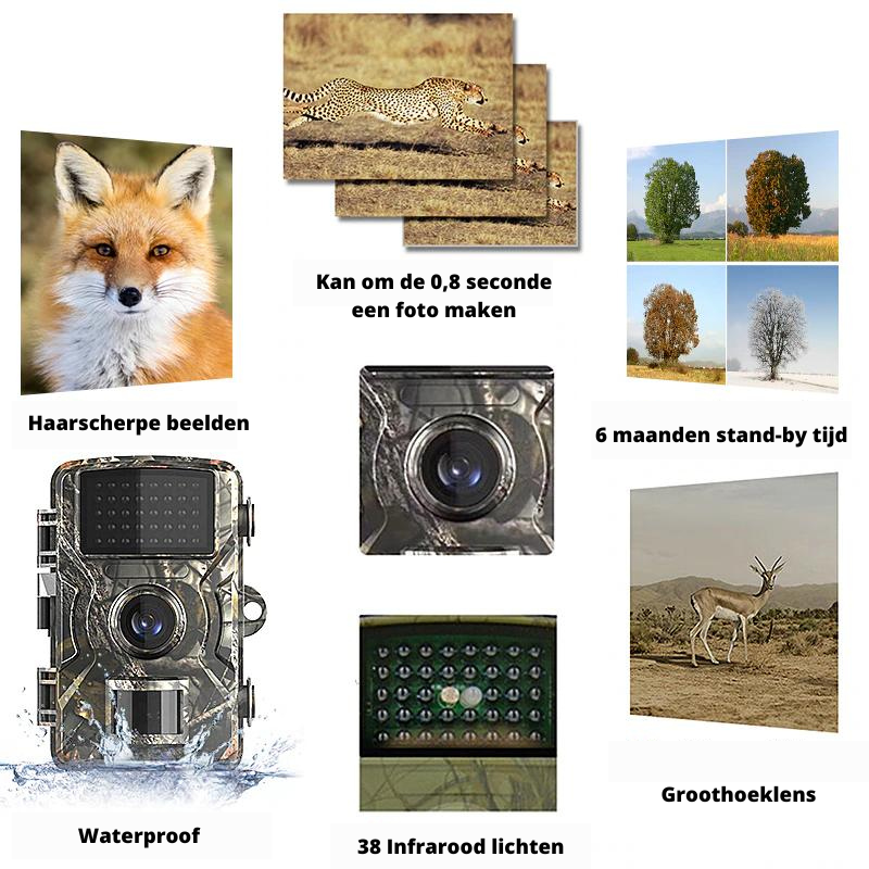 TrailVision - 4K Outdoor Night Vision Camera