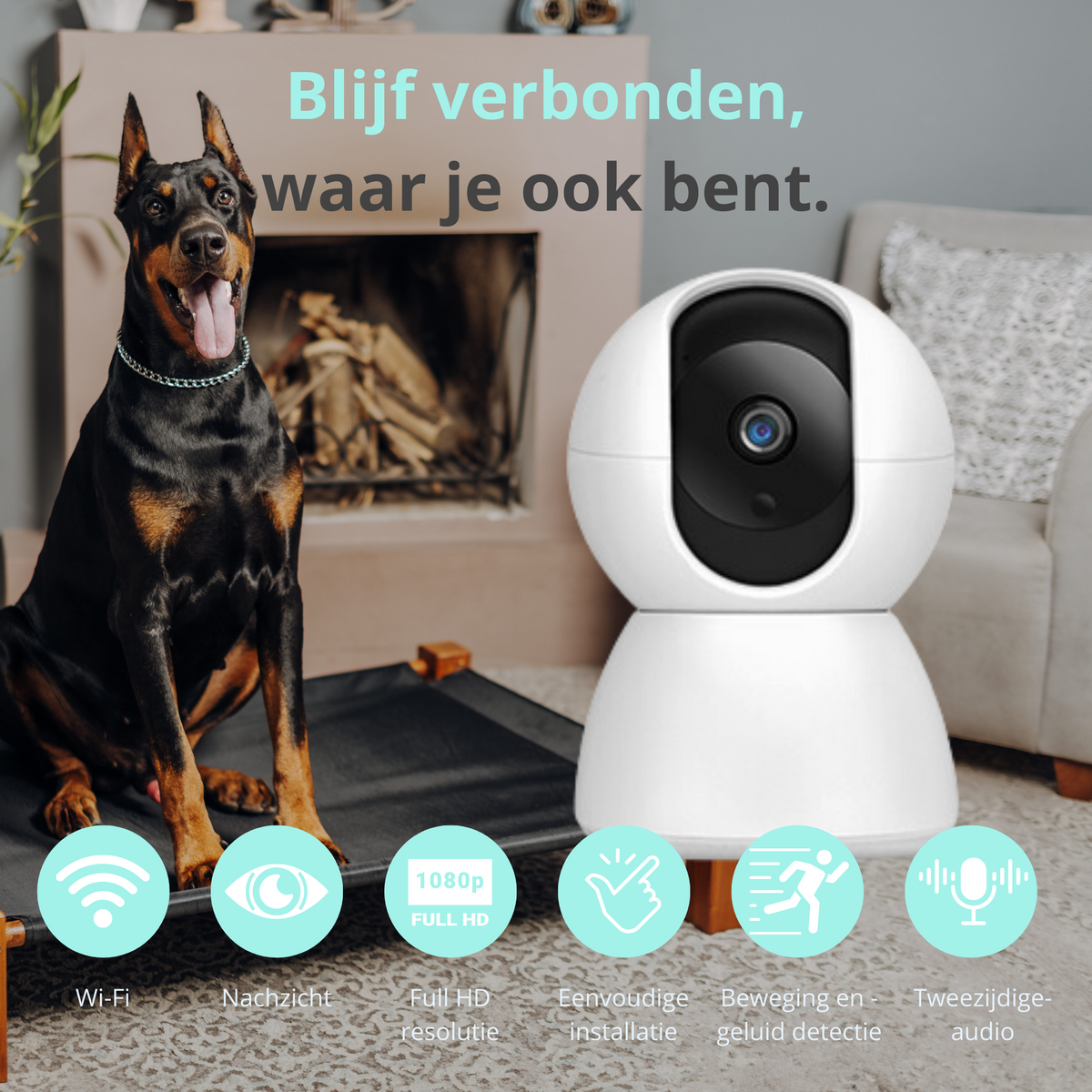 Premiumpets - Smart Camera to Watch Over Your Pet