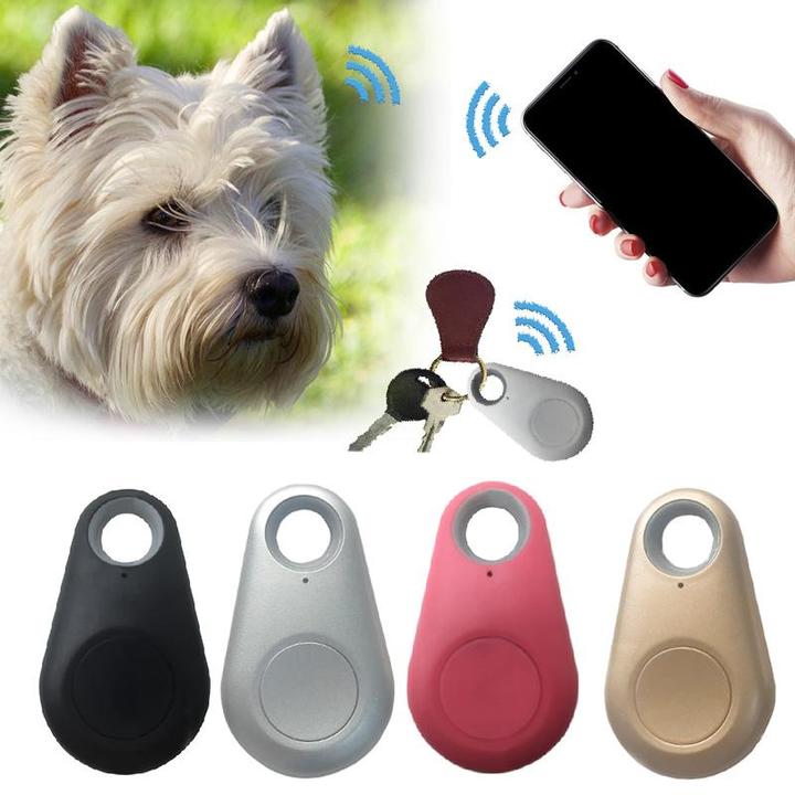 PetTrack - Compact GPS Tracker for Dogs and Cats